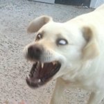 <b>지랄</b>ㅋㅋㅋ