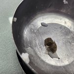 [어떻게생각] 급식배달에서 담배꽁초 필터가 나왔어요 ;;