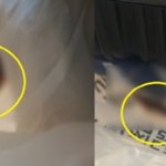 <b>찜닭</b> 배달용기서 바퀴벌레 ‘꿈틀’…“트라우마 생길 듯”