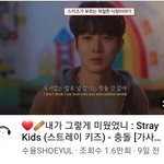 [스키즈] 한테이 늘엇당