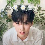 [ZB1] ✋제로즈 전원에게 <b>선언</b>합니다✋