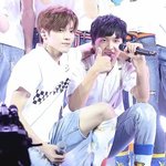 <b>핀터</b>해찬 품종견 뭐가 문제임?