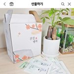 [ZB1] 아니 하옼ㄲㅋㅋㄱㄱㅋ