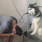 통통-><b>마름</b>이랑 <b>마름</b>-><b>뼈</b>말라 중에 뭐가 더 차이 클까