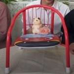 [ZB1] 근데 건욱이는 저의자 <b>정작</b> 자긴 못앉겠는데?