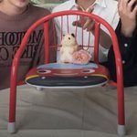 [ZB1] 하 누가 건욱이 자긴 잘못안할거라고 생각<b>하나</b><b>봄</b>이래