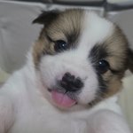 나 말랐는데 손이 ㅈ돼<b>지야</b>