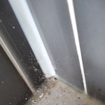 [꼭조언부탁] <b>전세준</b>것이 고통입니다