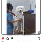 [NCT드림] <b>부계</b>같은건가