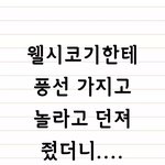 앙! <b>오토</b>케!