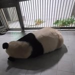 [댓글부탁해] <b>쌍수</b>하고 셀카 첨올리는건뎀