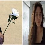 6월 14일 <b>오후</b> 2시, 임블리 관계자 공식 입장 발표