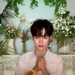 [ZB1] 어제 <b>성한빈이</b> 진짜 잊혀지지가 않는다