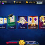 나 진짜 <b>루미</b> 관둠ㅃㅃ