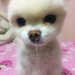 계속 <b>콧물</b> 나와..ㅠ