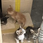 <b>빌라</b>의 장점...이랄까