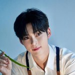 [ZB1] 혹시 <b>나뭇잎</b>만 들고 찍어봐도 될까요?