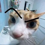 [댓글부탁해] 다리털 이정도면 제모크림 사용해도 돼?