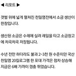 오늘 소금값 미쳤어요