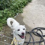 엄마 친구 <b>일금</b>이(3)