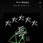 [스키즈] 쇼츠로 유명한 유튜버분이