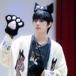 태산이 <b>카와이</b>