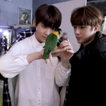 [TXT] <b>데뷔초</b>