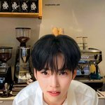 [ZB1] <b>바리</b>스타 카페 알바생 성한빈