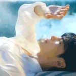 [ZB1] 얘들아 여기 뒤에 <b>나비</b> 있는 거 알았냐