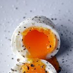 누구보다도 <b>반숙</b>을 사랑함