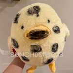 팬싸 때마다 <b>한정판</b> 인형 만들어주는 남돌