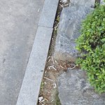 경기도 ㅇㅇㅅ  ㅈㅇㄱㅇ