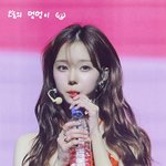 엥 <b>윈터</b> 개귀엽네