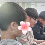 우리나라 존잘존예 한명도없을뻔했음..