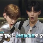 [ZB1] 아기<b>멍게</b>들아