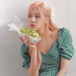 [모두드루와] <b>로제</b>