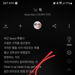 [스키즈] 영상능력자스테이들은