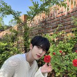 [ZB1] 아유 <b>막내</b> 귀여워
