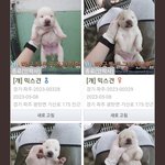 이거보고 진짜 무기력해짐..