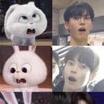 [ZB1] <b>한빈</b>이 토끼는 아니라고 생각했는데