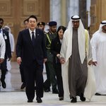 UAE “<b>올리브나무</b> 1000그루 보내겠다”...
