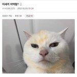 이짤은 볼때마다 ㅈㄴ