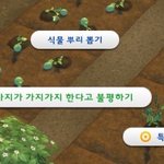 다음 유행은 뭘까