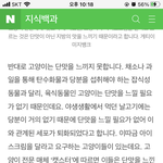 새<b>벽판</b>녀들아 고양이는