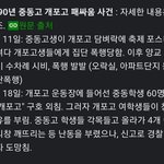 나무<b>위키</b> 읽는 거 존잼이다