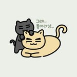 [TXT] 끄아앙 냥냥즈 귀여워 사랑해