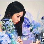 르세라핌 막팬 미모봐