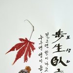 혈당 500 가까이 되고,   당화혈 <b>색소</b> 10 이나 되는...