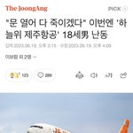 혹시 요즘 남자들 비행기문 여는게 유행이냐??