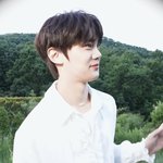 [ZB1] 이 <b>바부</b> 강아디 뭐야